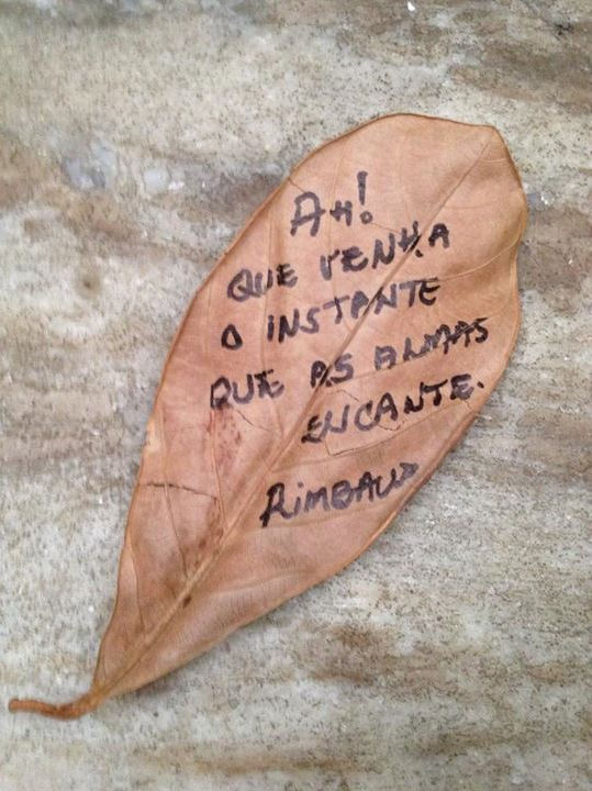 Errante 4