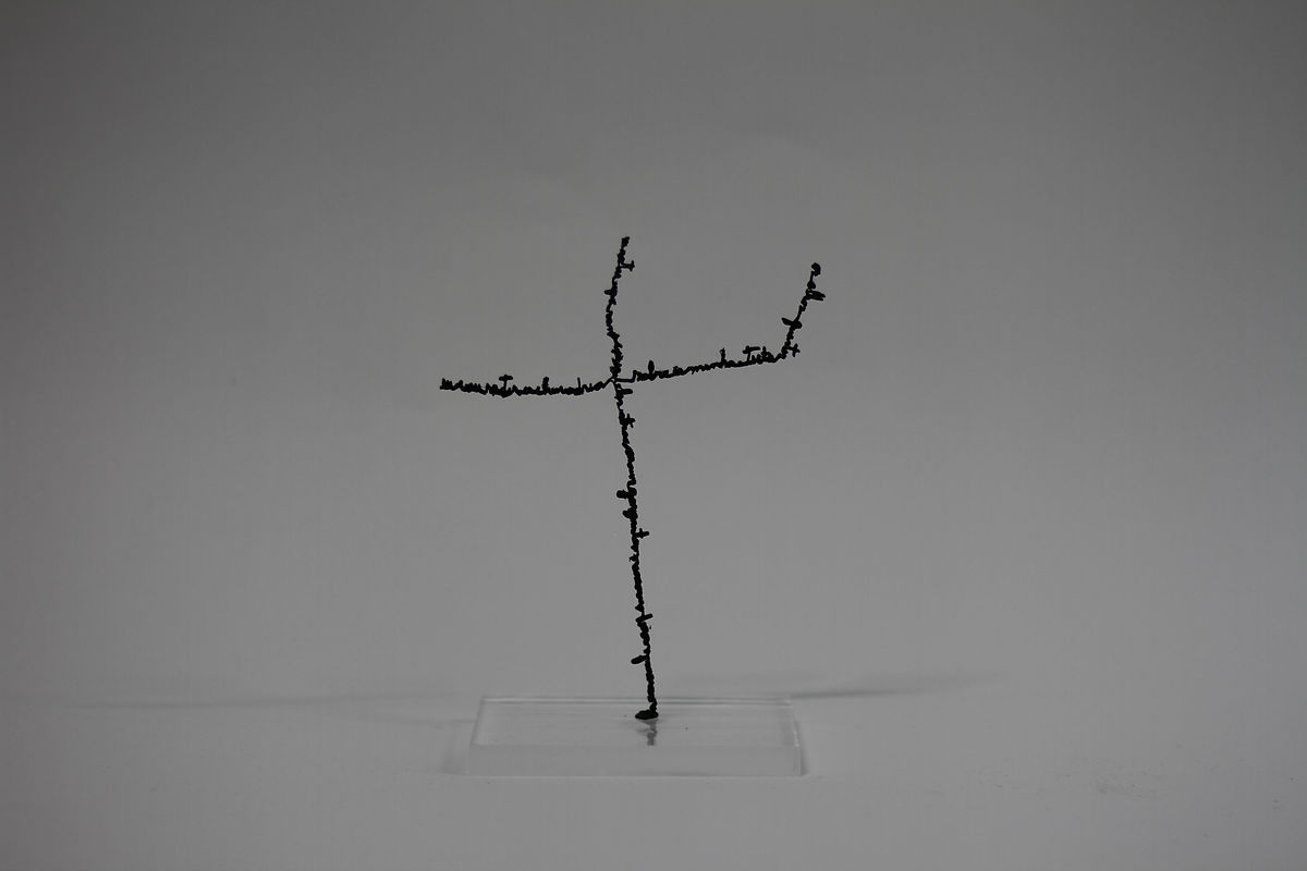 Constelaciones 13