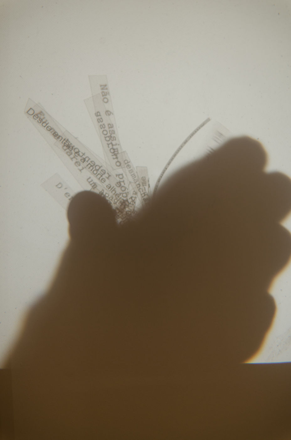 La búsqueda de poesía. 4