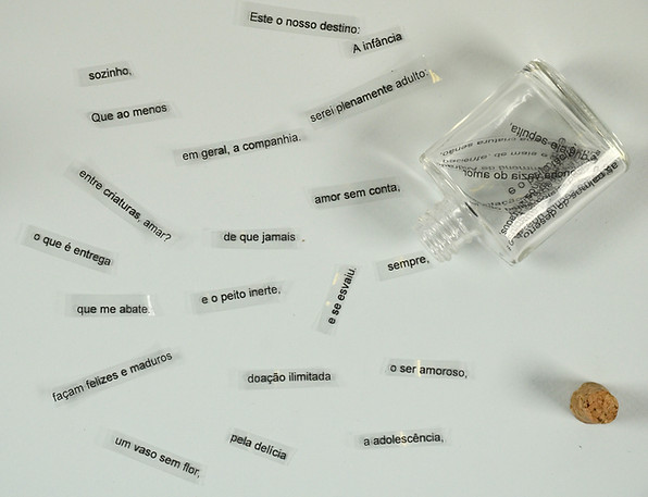 La búsqueda de poesía. 12