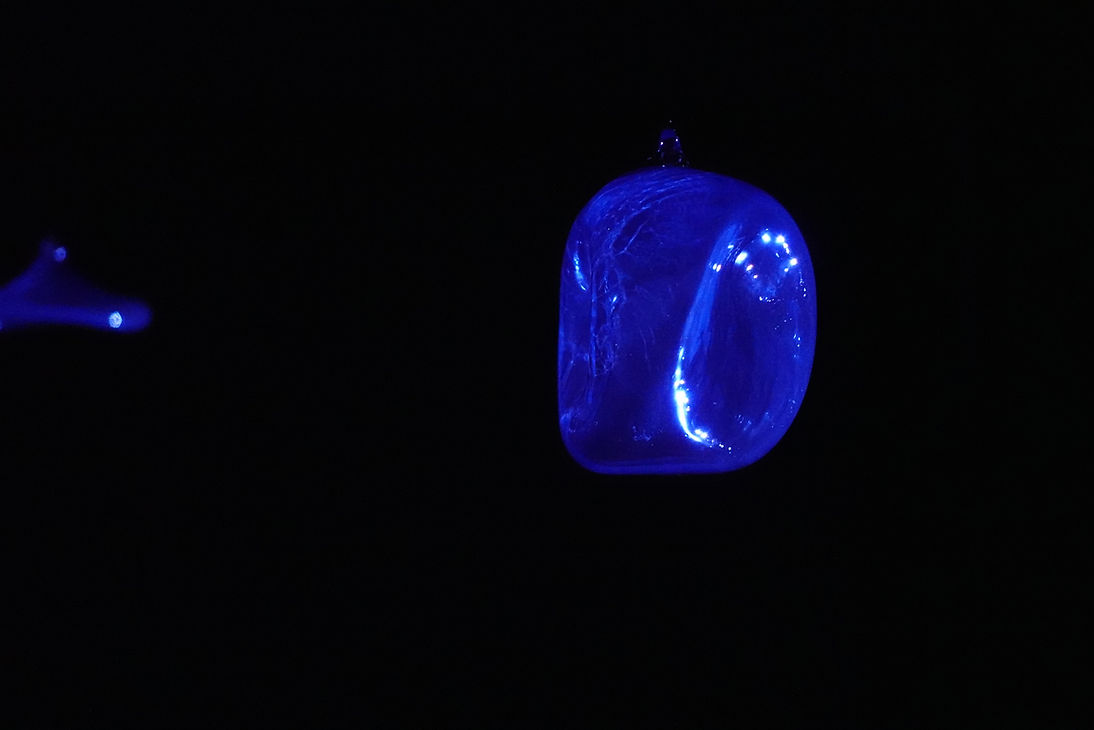 Anatomía del soplo 5